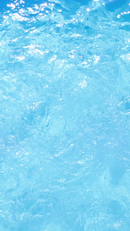 por encima de la morena nadando en la piscina en un día soleado