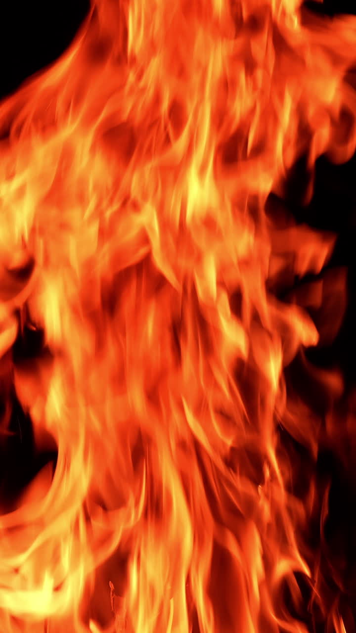 Red flames of bonfire rising up high. Fire burning isolated on the black background. Vertical video