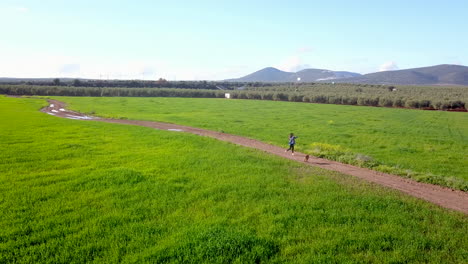 a young girl with dog walking along a wheat field
