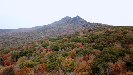abuelo montaña carolina del norte follaje de otoño, abuelo montaña carolina del norte hojas cambiar color aéreo