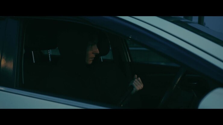 Person Driving a Car at Night