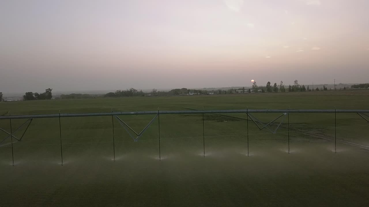 Dark green crop watered by pivot irrigation system near sunset: Aerial