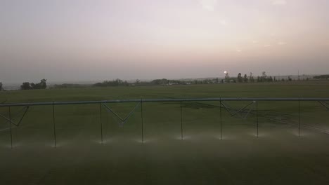 Dark green crop watered by pivot irrigation system near sunset: Aerial