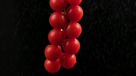 fresh cherry tomatoes in rain