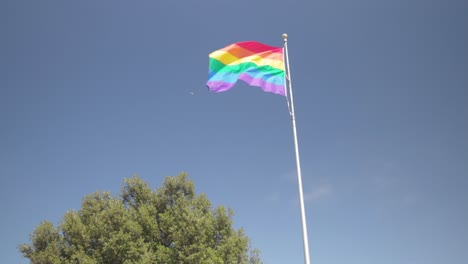 lgbtqia+ flag next to green tree with blue sky background and moon