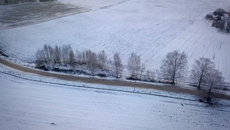 Camino-Sin-Pavimentar-Con-árboles-Desnudos-Entre-Campos-Nevados-En-Temporada-De-Invierno-En-Letonia,-Europa