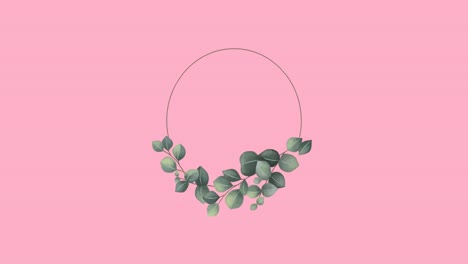 Animation-of-flash-sale-text-in-frame-over-glowing-blob-and-plant-on-pink-background
