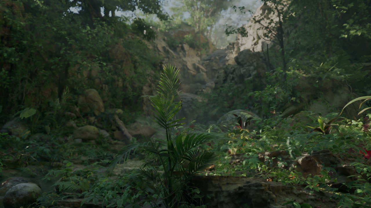 울창한 정글 길