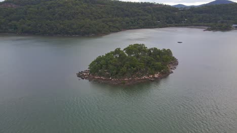 Grüne-Bäume,-Die-Auf-Einer-Felsigen-Insel-Im-Fluss-Wachsen---Mooney-Mooney-Creek-In-New-South-Wales,-Australien