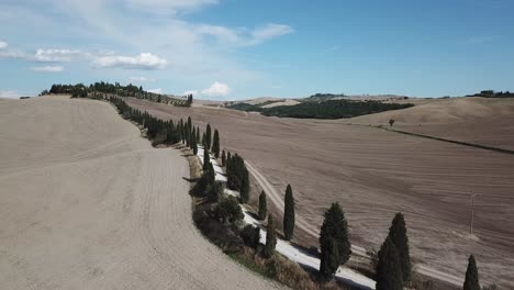 amazing tuscany road with a lot trees