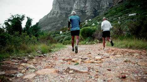 trail running in the mountains