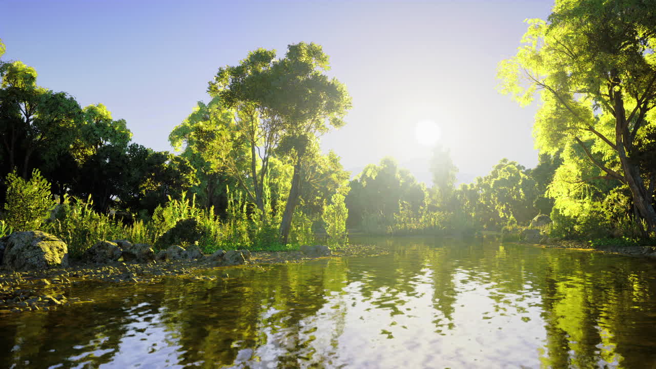 Soft ripples glide across bright woodland pond surface with fog
