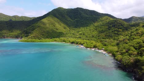 aerial drone view of beach and jungle filled with vegetation in tayrona national park, santa marta colombia