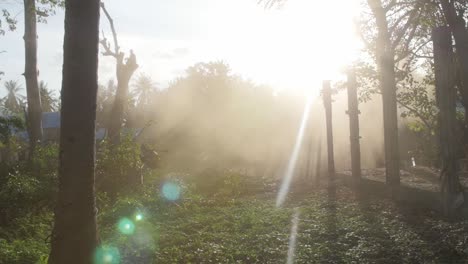 Sunbeams-Shining-Through-Dust-Cloud