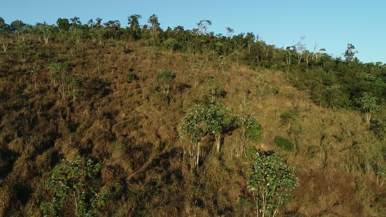 Drone climbing a beautiful lush green landscape with beautiful trees, calm, peace and tranquility in the countryside, in 4K resolution