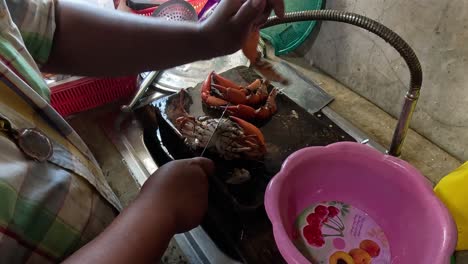 person cleaning and preparing crabs in a sink