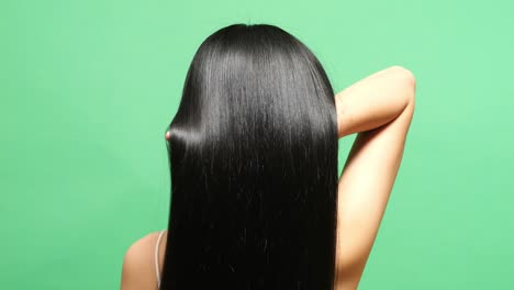 close up back view of a woman gently touching her long and black straight healthy hair in the green screen background studio