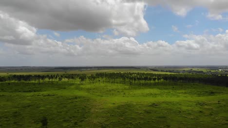 Toma-Aérea-Del-Antiguo-Camino-De-Tierra-Al-Lado-Del-Lago