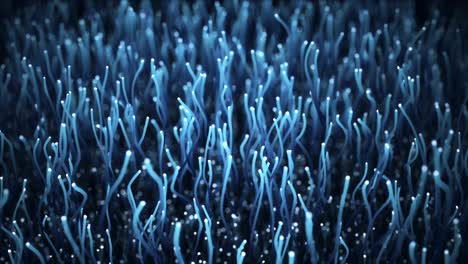 distribution of the light signal from a diode towards a bunch of optical fibers.