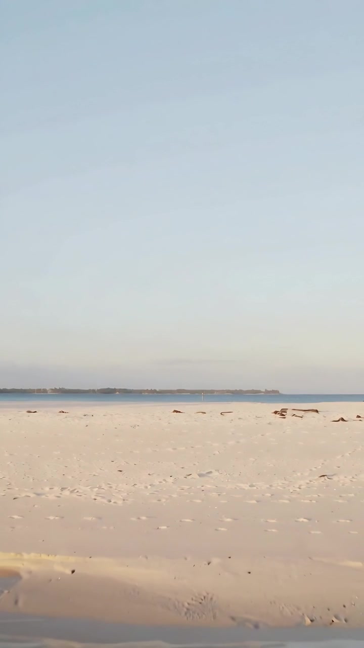 Vertikal video: Bevægende kamera træder frem og viser kystens krusninger på sandstrand med drivtømmer.