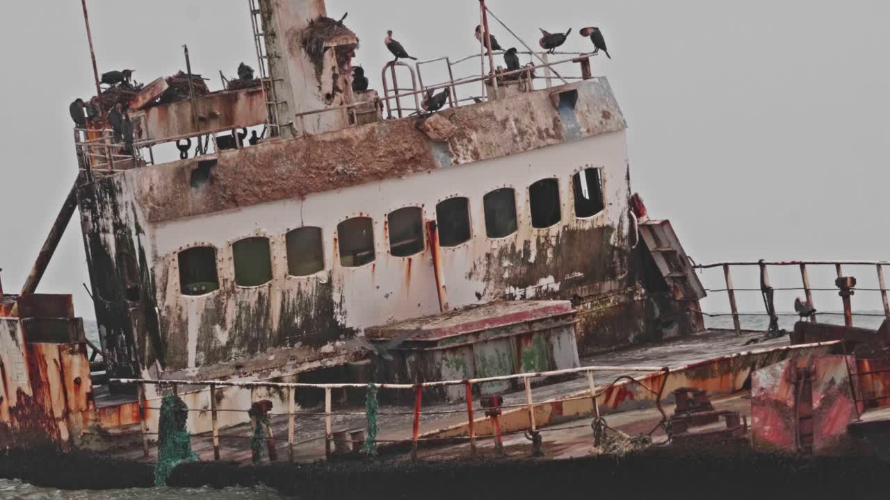 Zeila shipwreck along Namibia Skeleton Coast covered in rust with nesting birds