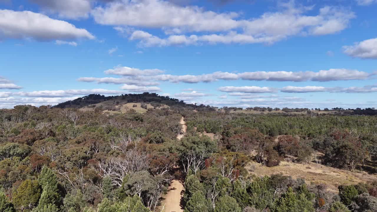 Drone camera ascends above a dirt road winding through dense Australian forest under bright daylight, revealing expansive natural landscape and distant hills