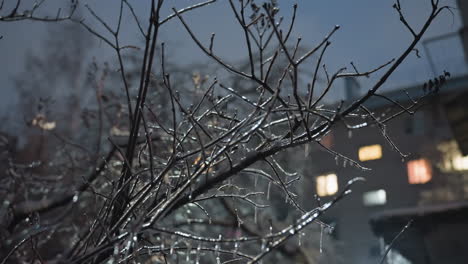 close-up of frosted bare tree branches coated with icicles and snowdrops, illuminated by glowing light in the background with blurred silhouettes of trees and a building