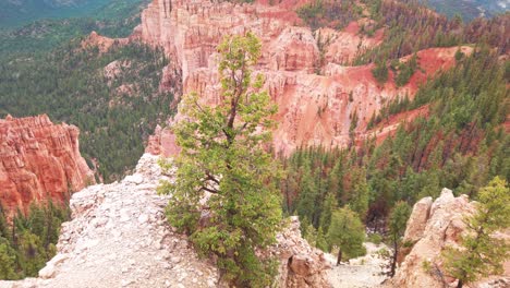 amplia toma inclinada hacia arriba desde lo alto de bryce canyon en la parte superior de la gran escalera en utah