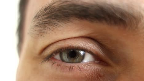 primer plano del ojo y la ceja masculinos verdes