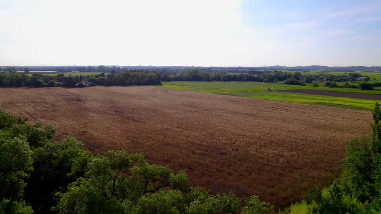 un tiro que se eleva lentamente revelando un vasto campo de trigo listo para la cosecha en francia
