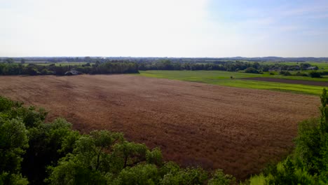 Langsam-Ansteigende-Aufnahme,-Die-Ein-Riesiges-Weizenfeld-Zeigt,-Das-Zur-Ernte-Bereit-Ist,-In-Frankreich