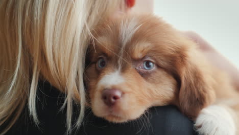 mujer rubia abraza a una linda mascota favorita de cachorro de ojos azules