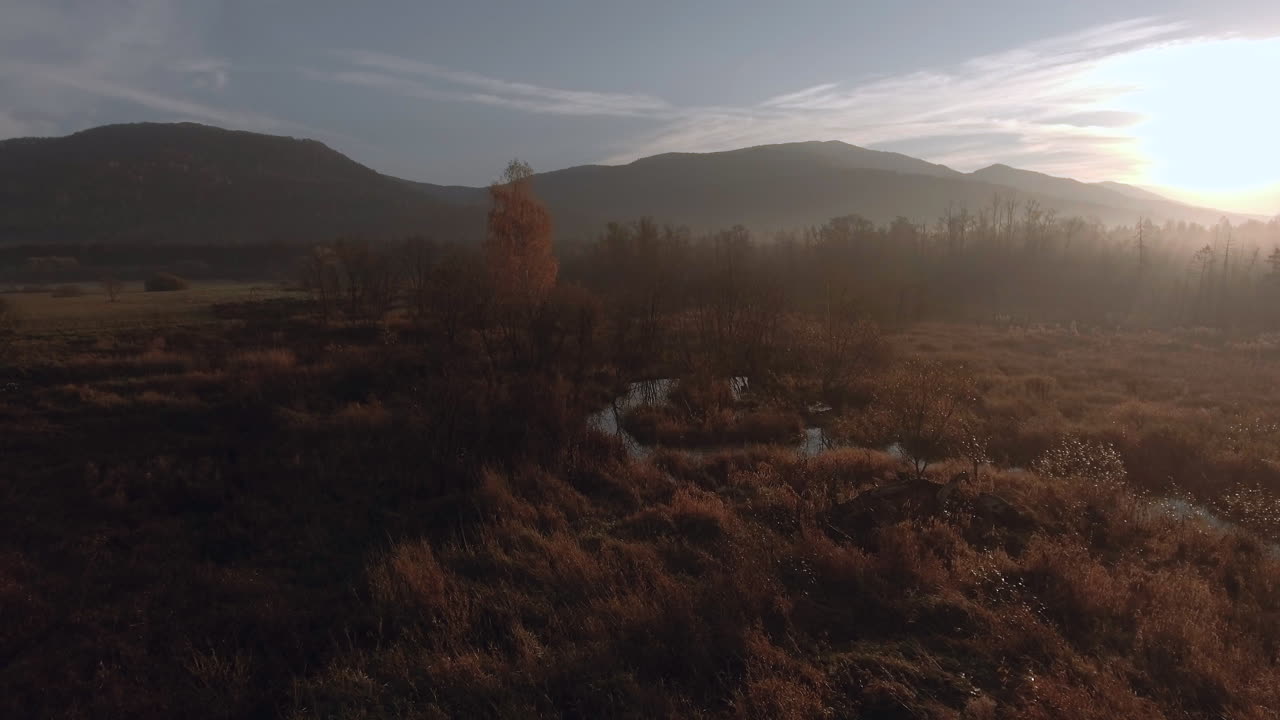 Wasteland - Wetlands at sunrise with golden grasses, scattered trees, and a distant mountain range under a soft morning sky, partially covered by light mist. Bieszczady.