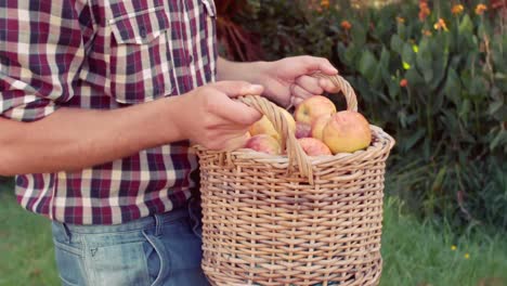 Serious-farmer-holding-basket-of-apples