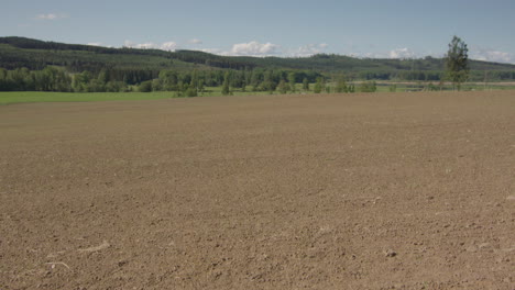 2 month timelapse from dry soil to lush green pea and oat crops