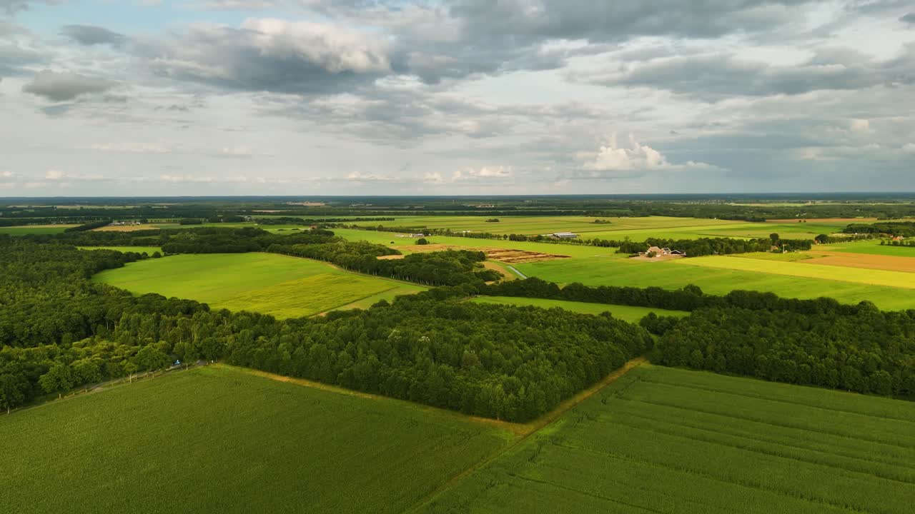Aerial View of Vast Green Agricultural Fields and Forests Under a Cloudy Sky