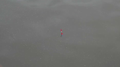 corcho de pesca en el agua
