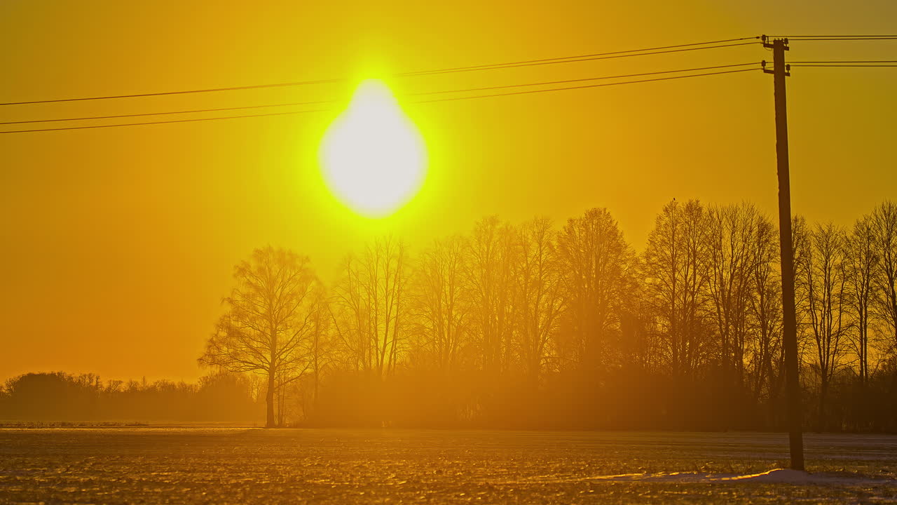 sol amarillo brillante que se eleva sobre los árboles contra cielos anaranjados con poste de telégrafo a la vista