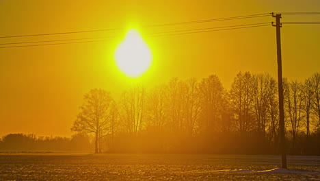 bright yellow sun rising over trees against orange skies with telegraph pole in view