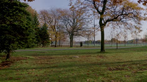 drohne fliegt durch bäume und steigt auf und enthüllt an einem sonnigen morgen ein fußballfeld und ein baseballfeld in einem öffentlichen park in montreal