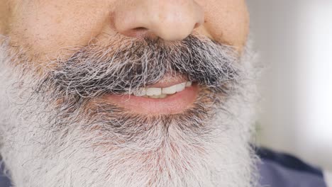 closeup of a bearded man's smile.