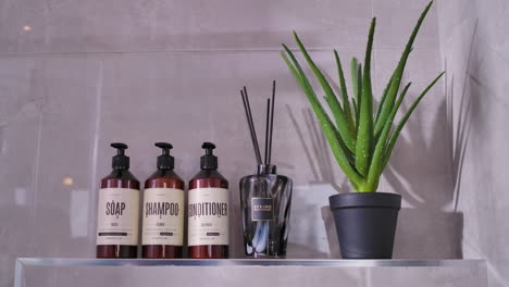 botellas de champú, jabón y acondicionador, junto a un ambientador y una planta de aloe vera en un estante del baño.