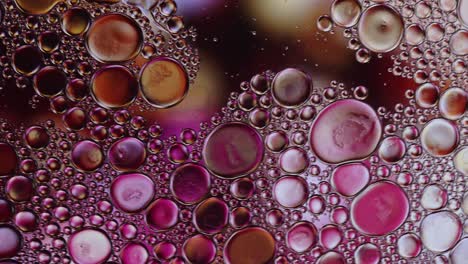 abstract colorful food oil drops bubbles and spheres flowing