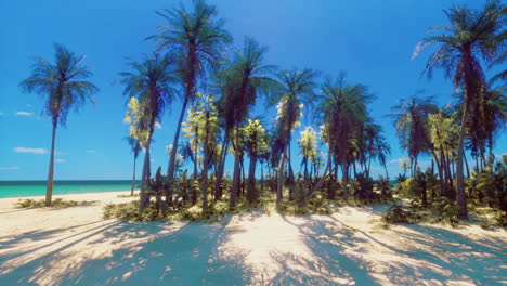 sunny beach with palm trees and clear blue sky on a tropical coast