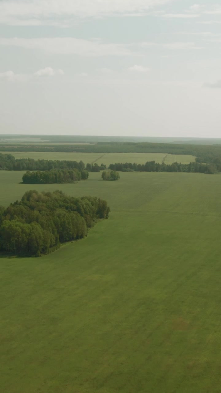 Droneoptagelser af brede grønne landbrugsmarker med trærækker og små skovstykker på en rolig sommerdag, landligt landskab under bløde skyer