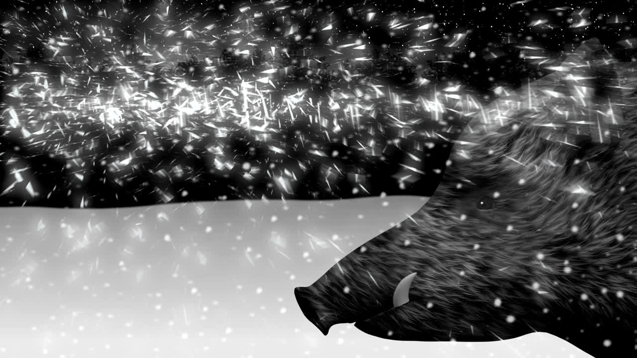 야생 돼지 새해 2019 겨울 숲 애니메이션