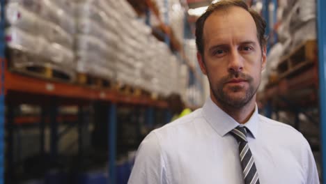 portrait of male manager working in a warehouse 4k