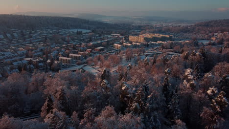 Toma-De-Apertura-De-Una-Mañana-De-Invierno-En-Winterthur-Suiza