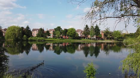 a panning shot of a beautiful lake in the spring, as geese swim nearby