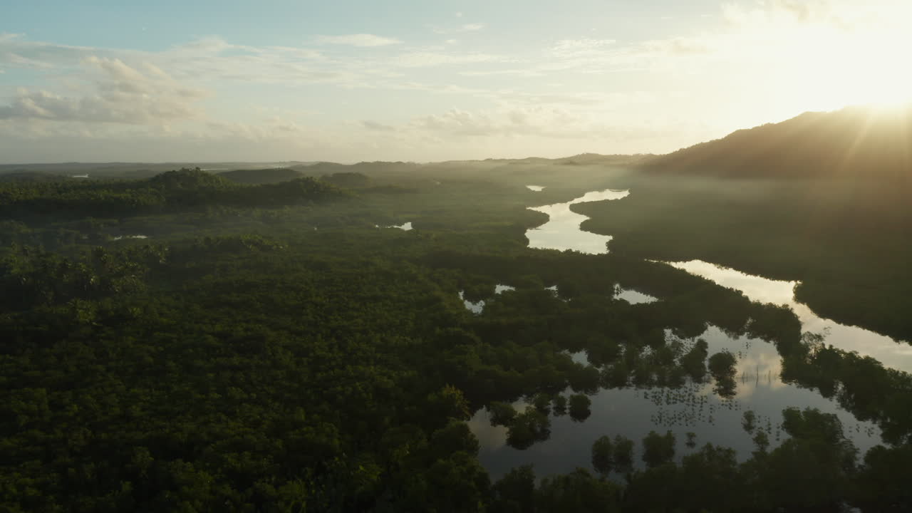 Aerial showing sunrise above palmtrees and water with morning dew on Siargao Island, Philippines.